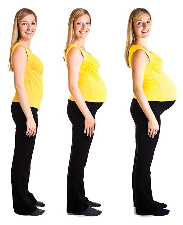 Pregnant women's growing belly